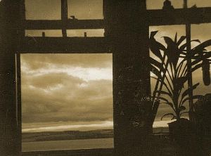 Stationen: Ausblick aus meinem Zimmer in Dundee. Zeit als assistant teacher.